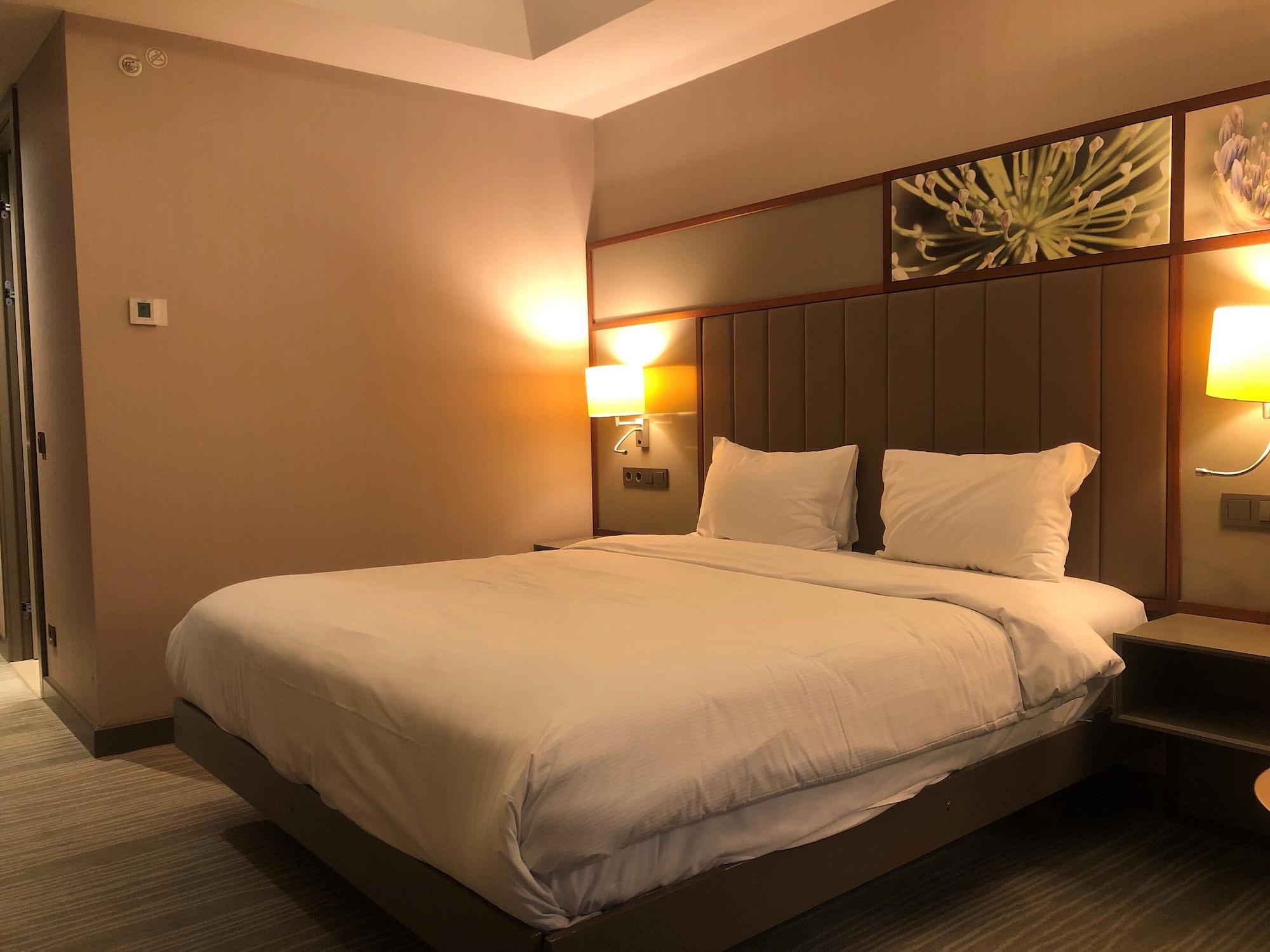 Hilton Garden Inn Istanbul Atatuerk Airport Buitenkant foto